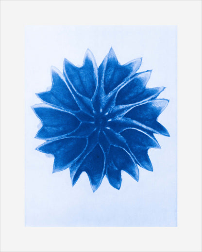 Azure Botanical Art Prints